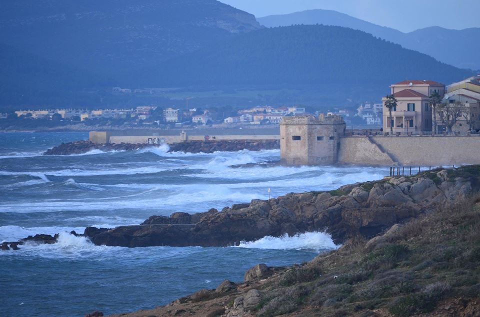 Mare di Alghero