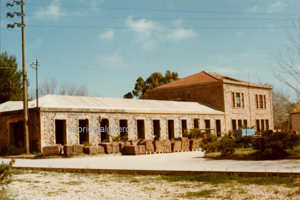 Ristrutturazione cantine Sella&Mosca