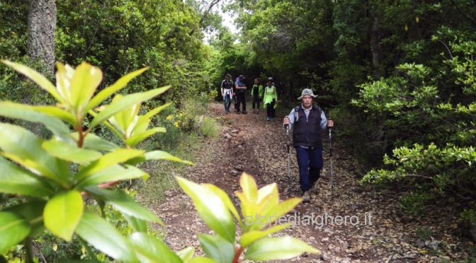 Escursione sul monte Canistreddu