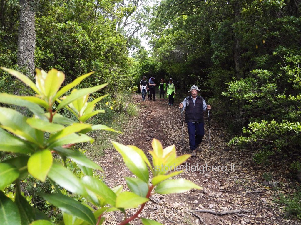 Escursione monte Canistreddu