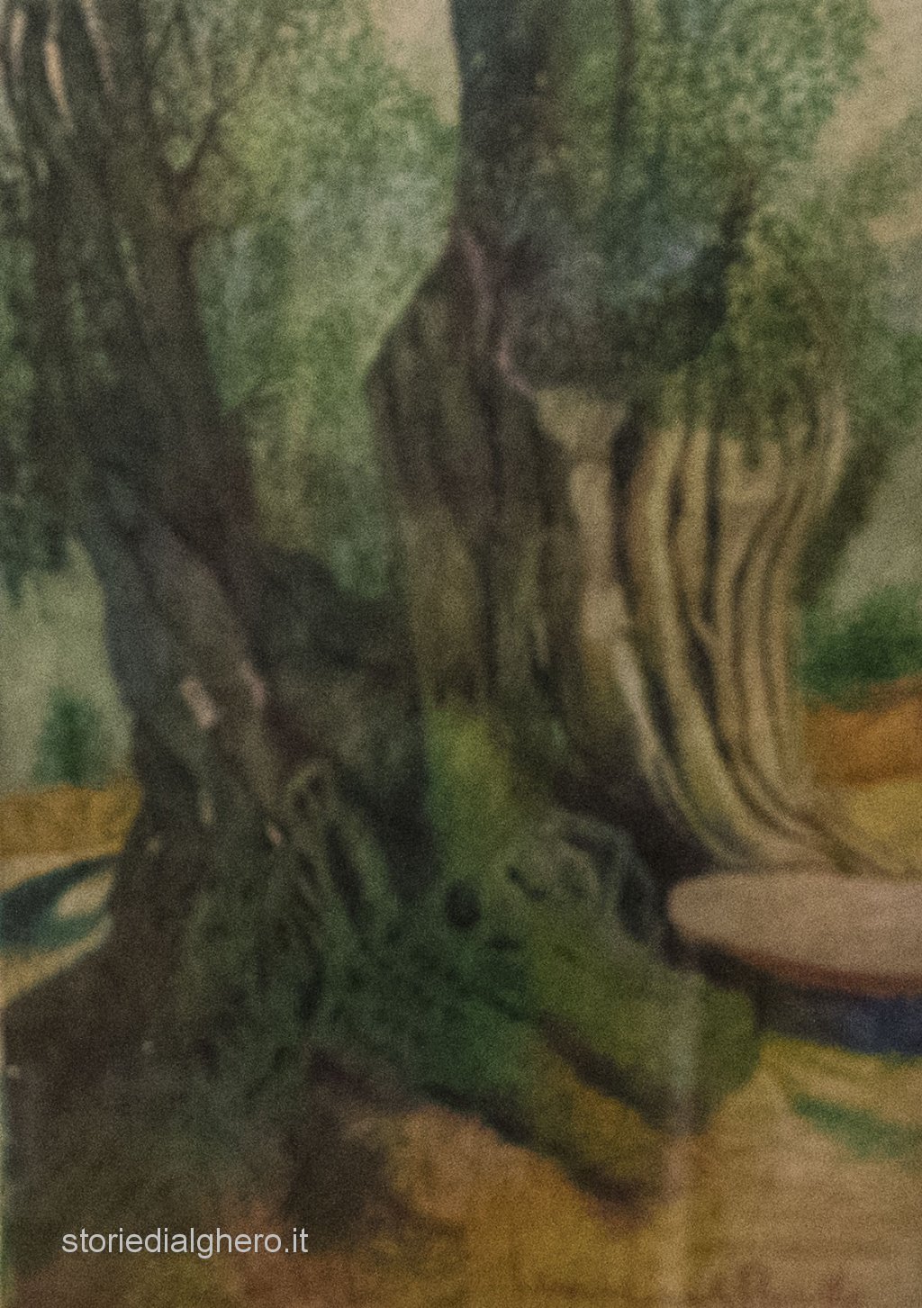 Opere di Franco Ceravola Rossella