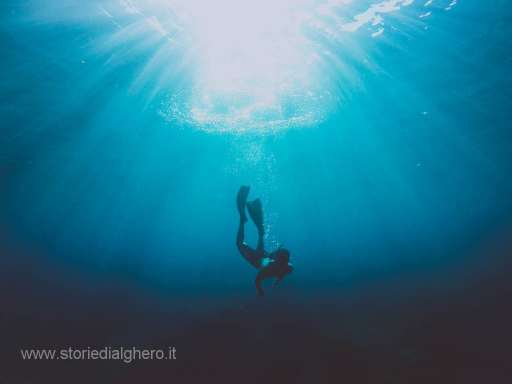 Prime dieci classificate concorso fotografico il Mediterraneo di Sardegna