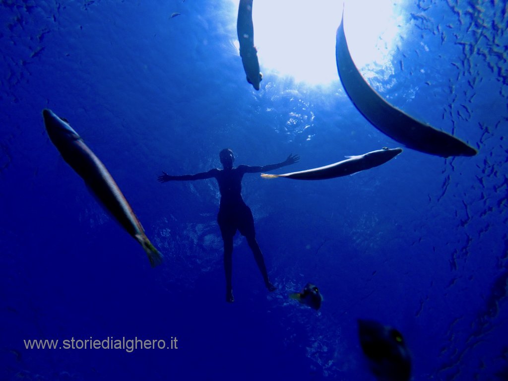 Alcune delle fotografie partecipanti più rappresentative del contest fotografico 2019