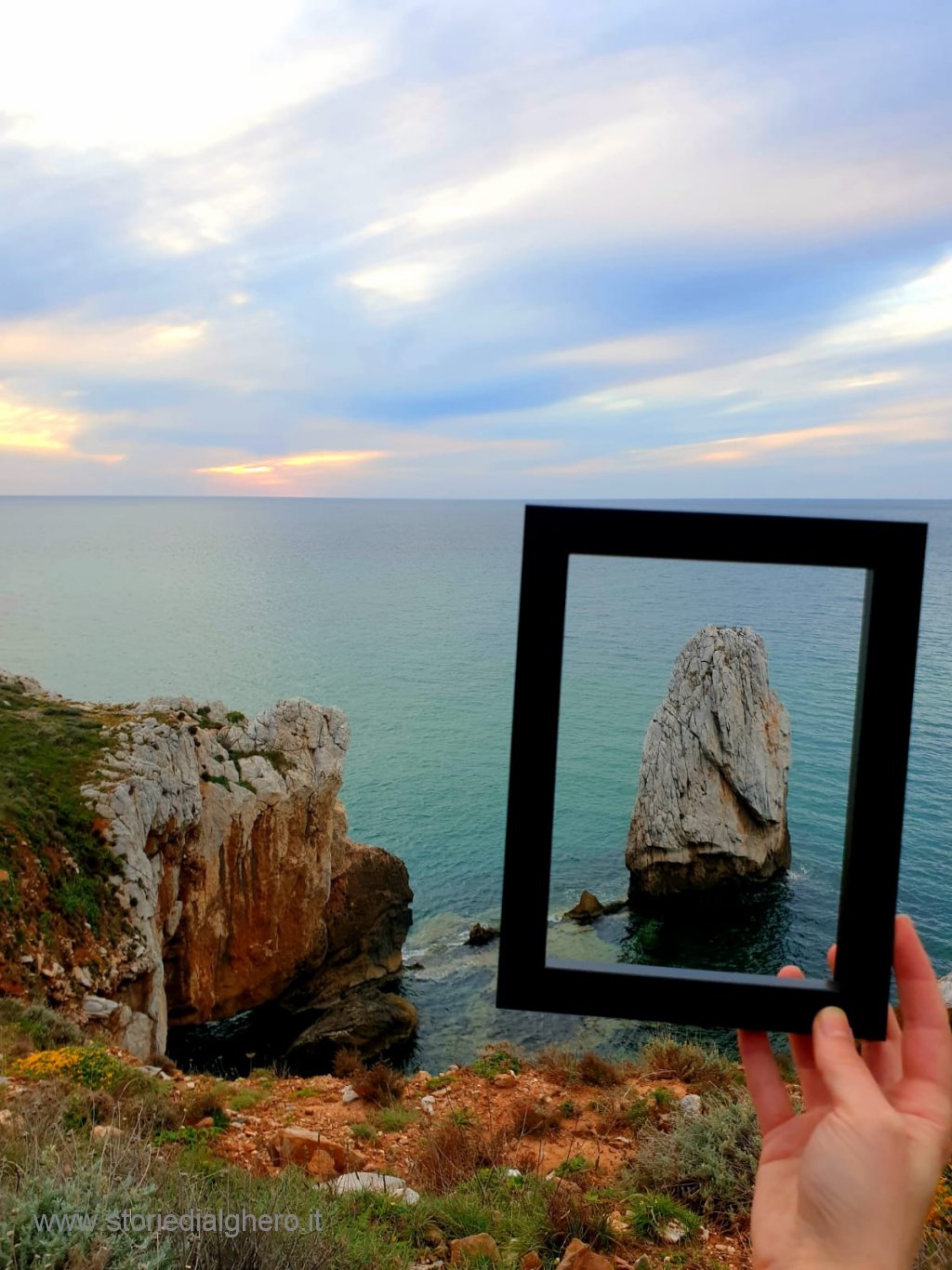 Alcune delle fotografie partecipanti più rappresentative del contest fotografico 2019