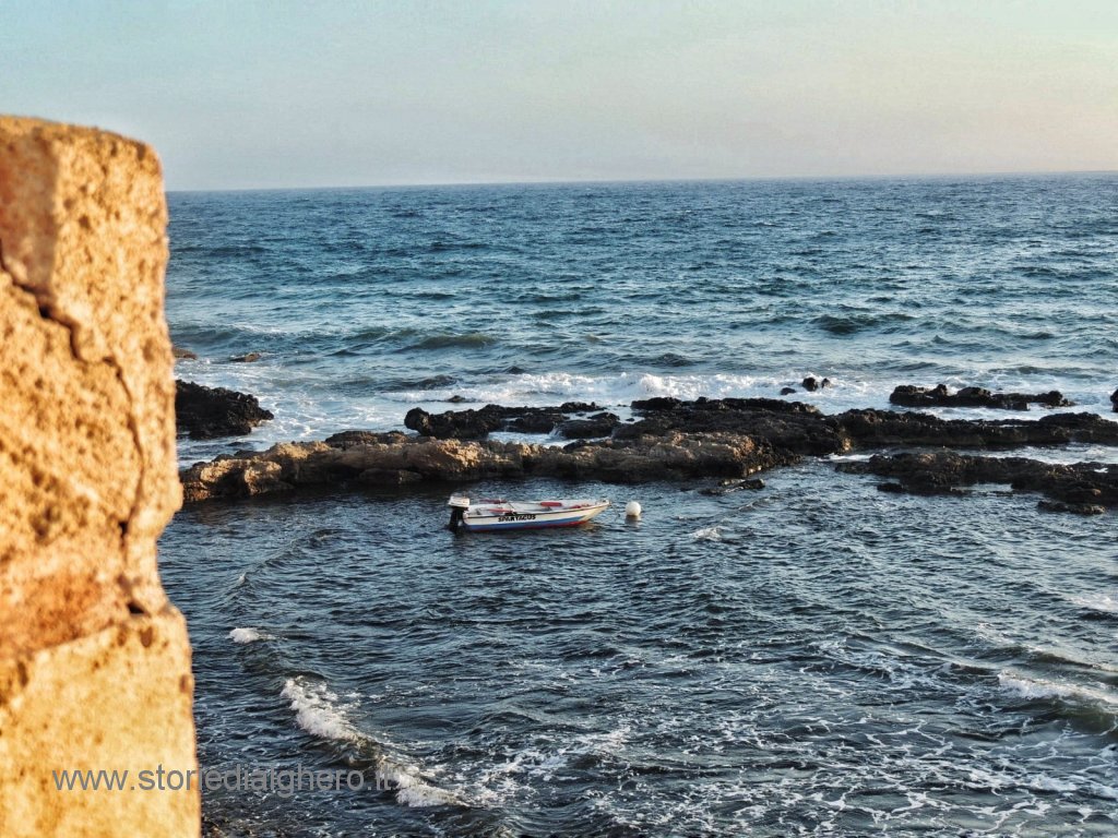 Alcune delle fotografie partecipanti più rappresentative del contest fotografico 2019