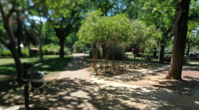 I ragazzi dei giardinetti di via Tarragona