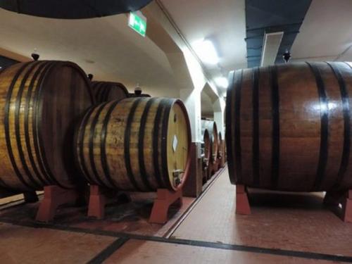 Cantina di invecchiamento in botti grandi